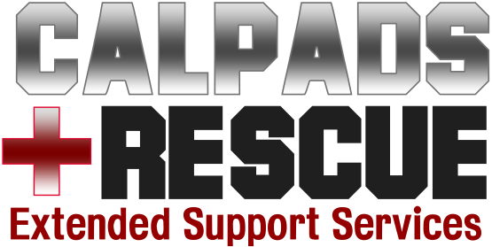 CALPADS Extended Support Services